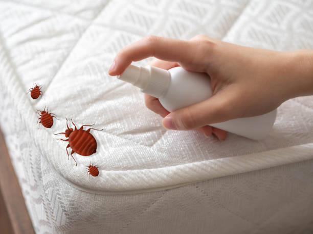 Best Residential Pest Control  in Oblong, IL